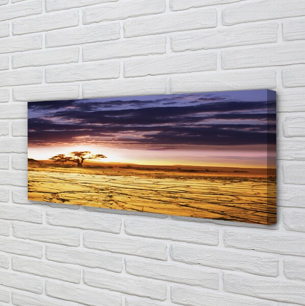 Tablouri canvas Nori copac cer