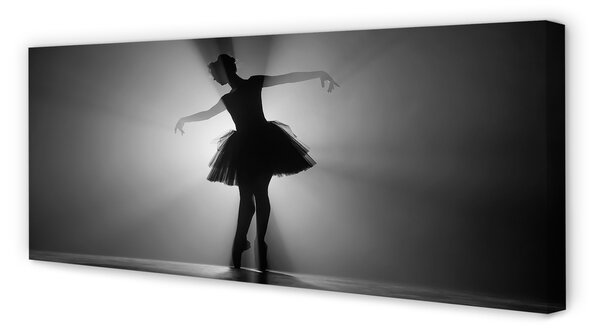 Tablouri canvas Balerina fundal gri