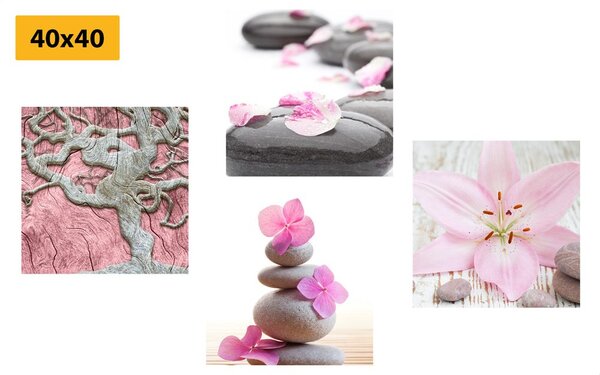 Set tablouri Feng Shui în design delicat