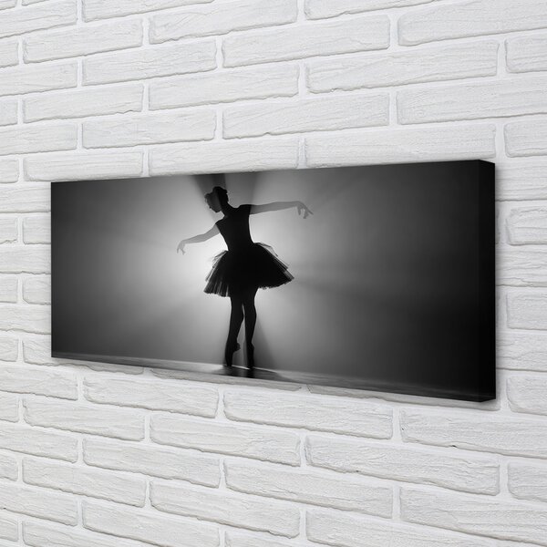 Tablouri canvas Balerina fundal gri