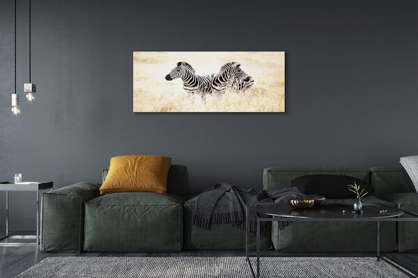Tablouri canvas caseta de zebră