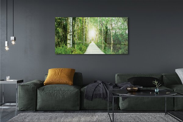Tablouri canvas mesteacan drum forestier