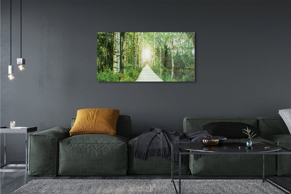 Tablouri canvas mesteacan drum forestier