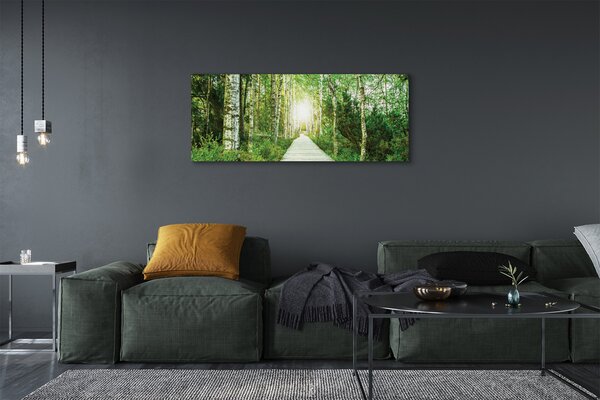 Tablouri canvas mesteacan drum forestier