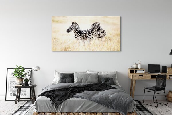 Tablouri canvas caseta de zebră