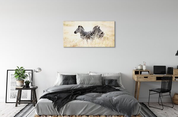 Tablouri canvas caseta de zebră