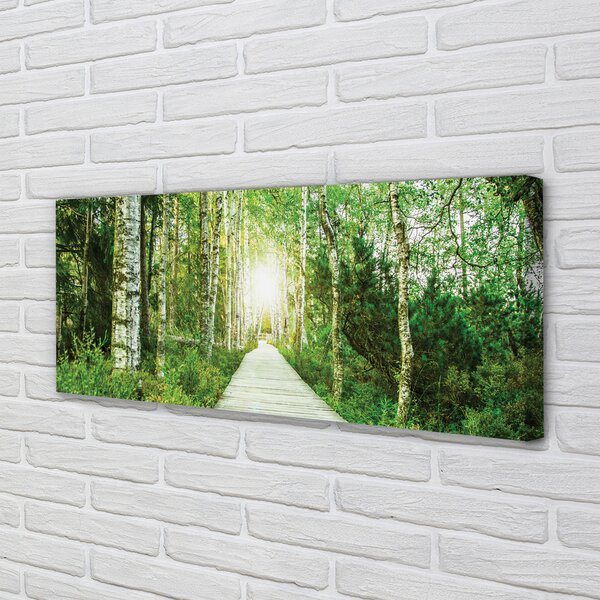 Tablouri canvas mesteacan drum forestier
