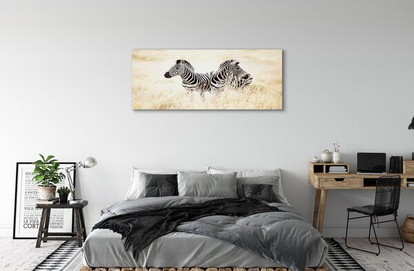 Tablouri canvas caseta de zebră