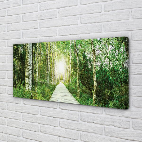 Tablouri canvas mesteacan drum forestier