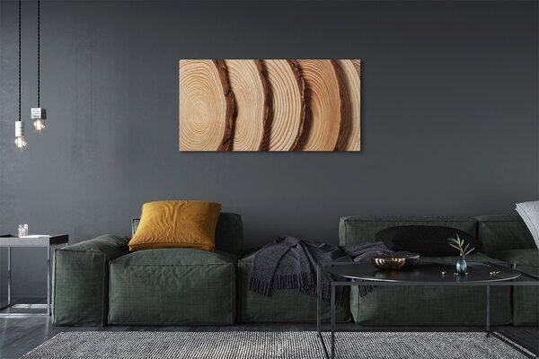 Tablouri canvas felii de cereale din lemn