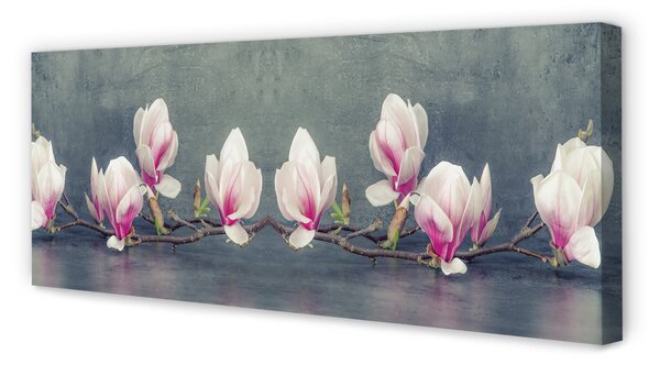 Tablouri canvas ramură de magnolie
