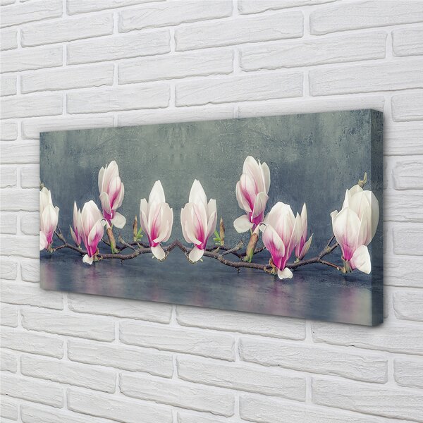 Tablouri canvas ramură de magnolie