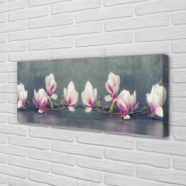 Tablouri canvas ramură de magnolie