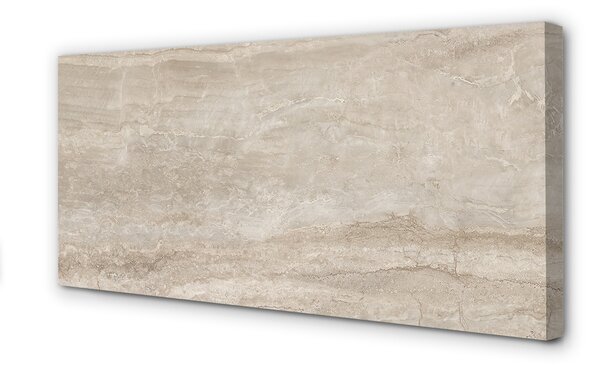 Tablouri canvas beton piatră de marmură