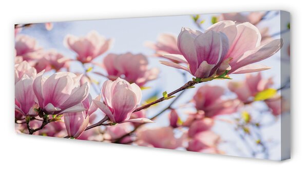 Tablouri canvas Magnolie