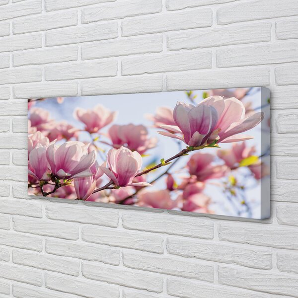 Tablouri canvas Magnolie