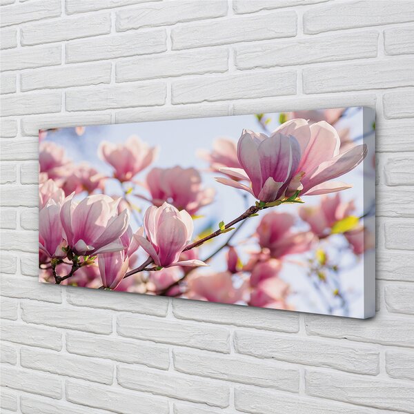 Tablouri canvas Magnolie