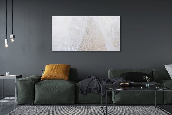 Tablouri canvas Picături păpădie abstracție