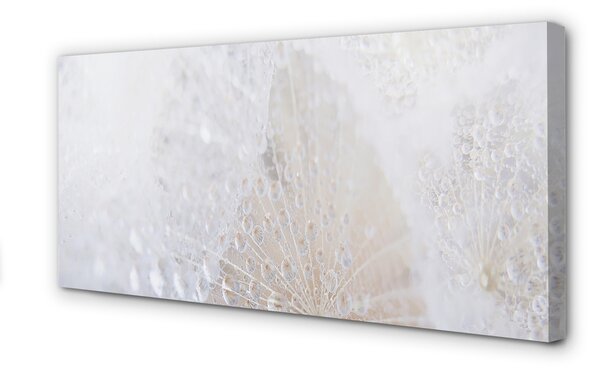 Tablouri canvas Picături păpădie abstracție