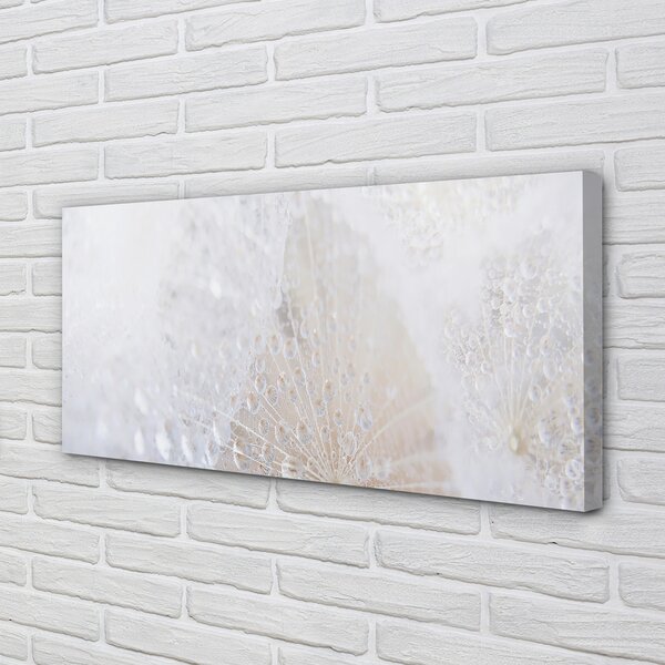 Tablouri canvas Picături păpădie abstracție