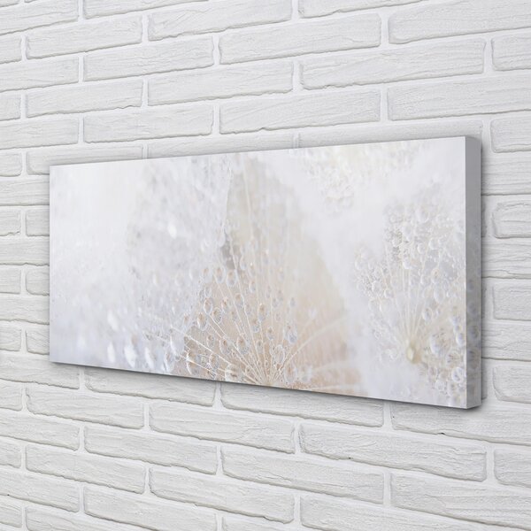 Tablouri canvas Picături păpădie abstracție