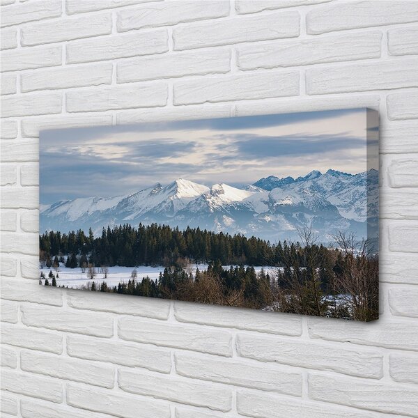 Tablouri canvas iarnă de munte