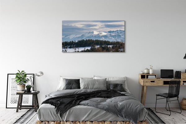Tablouri canvas iarnă de munte