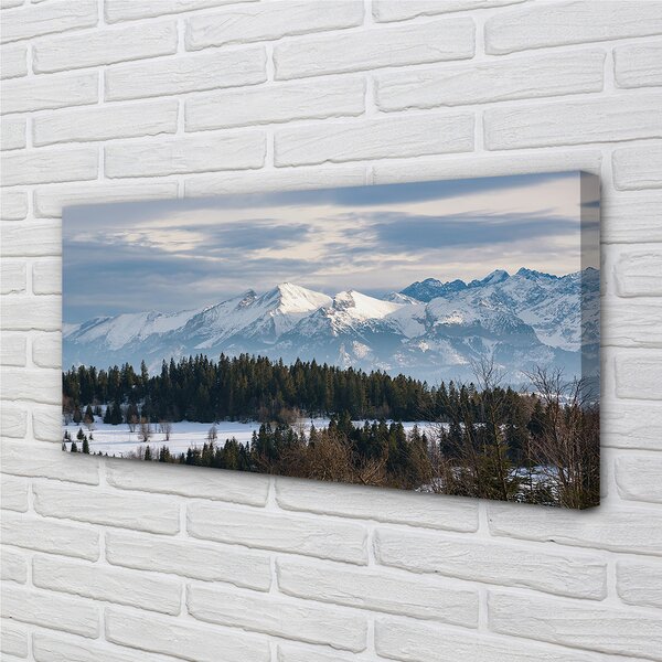 Tablouri canvas iarnă de munte