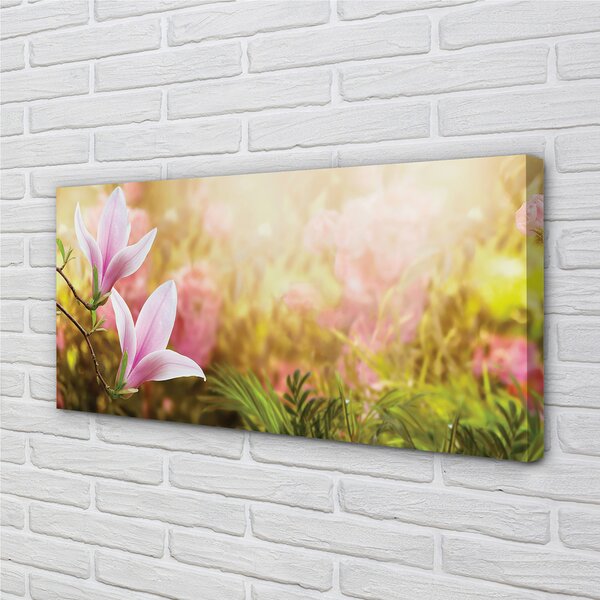 Tablouri canvas Magnolia copac soare