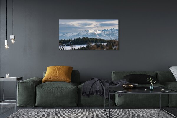 Tablouri canvas iarnă de munte