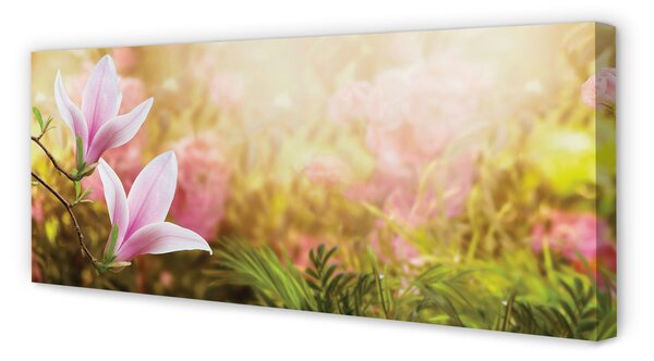 Tablouri canvas Magnolia copac soare