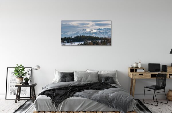 Tablouri canvas iarnă de munte