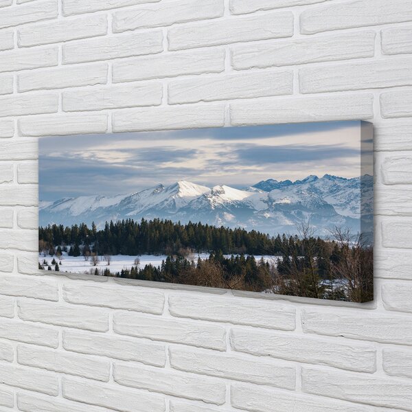 Tablouri canvas iarnă de munte