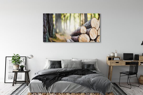 Tablouri canvas Lemn natura pădure