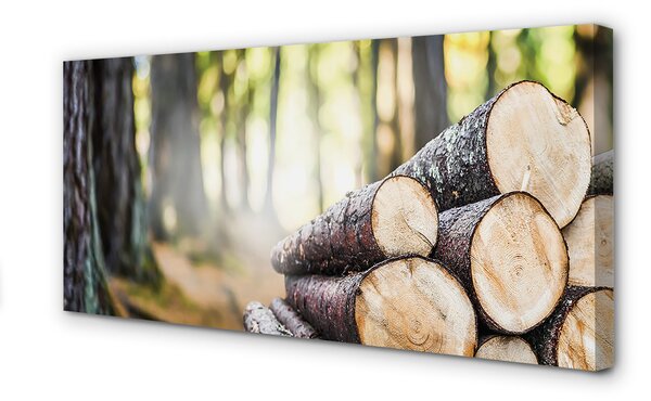 Tablouri canvas Lemn natura pădure