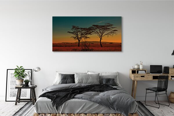 Tablouri canvas copac cer