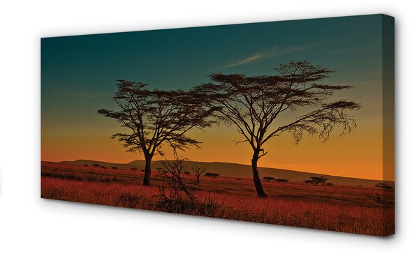 Tablouri canvas copac cer