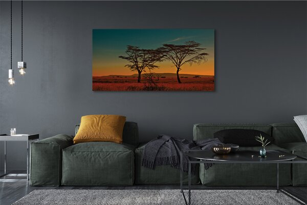 Tablouri canvas copac cer