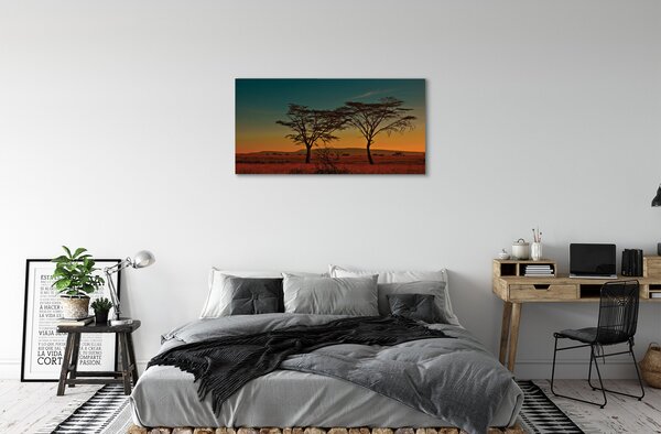Tablouri canvas copac cer