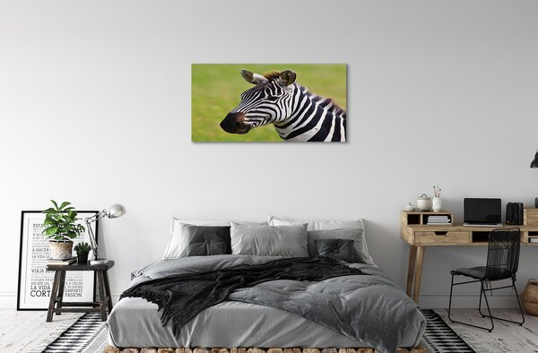 Tablouri canvas zebră