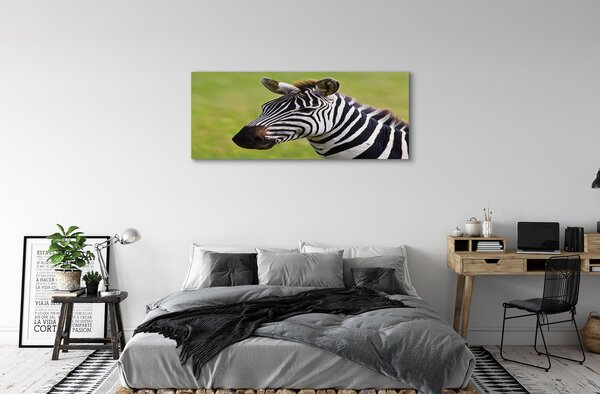 Tablouri canvas zebră