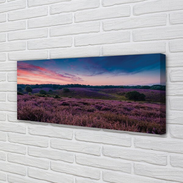 Tablouri canvas Heathers câmp