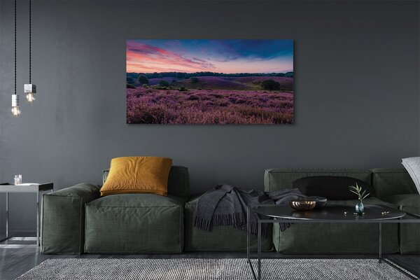 Tablouri canvas Heathers câmp