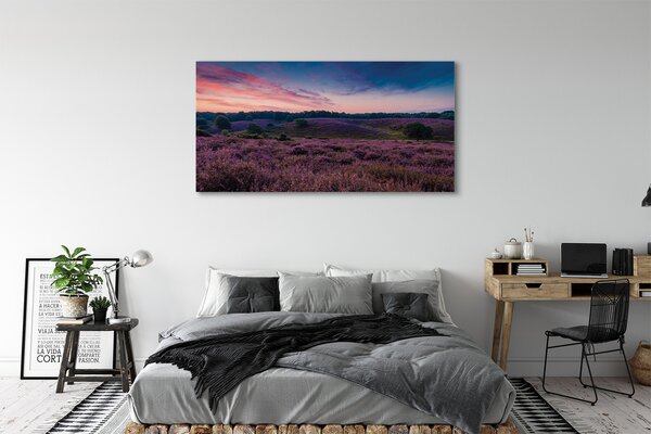 Tablouri canvas Heathers câmp