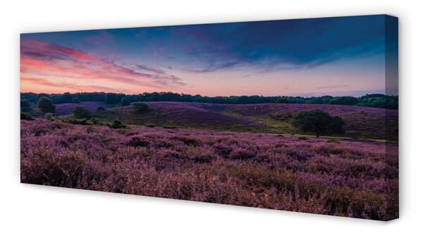 Tablouri canvas Heathers câmp
