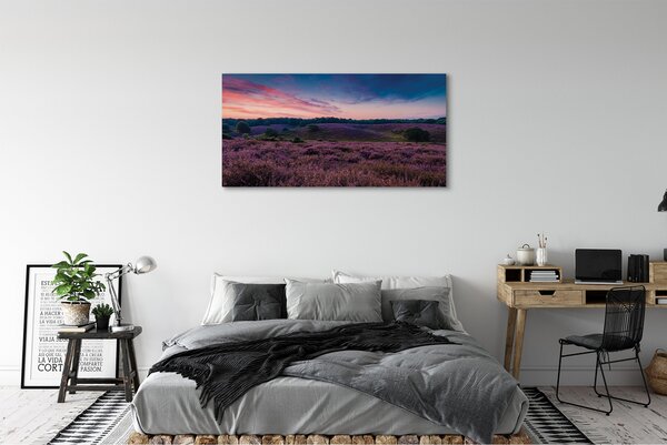 Tablouri canvas Heathers câmp