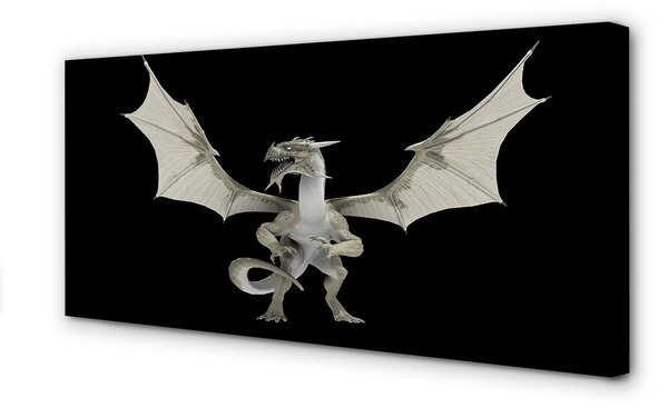 Tablouri canvas Dragon alb