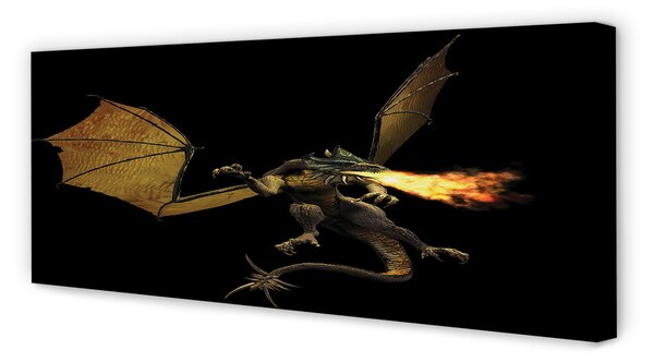 Tablouri canvas dragon de foc-respirație