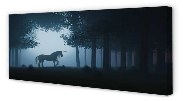 Tablouri canvas Las noapte unicorn
