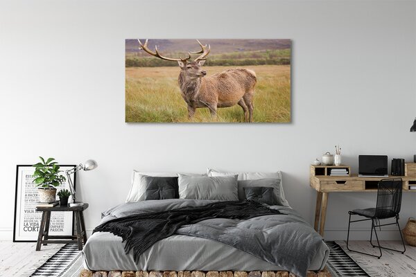 Tablouri canvas cerb câmp